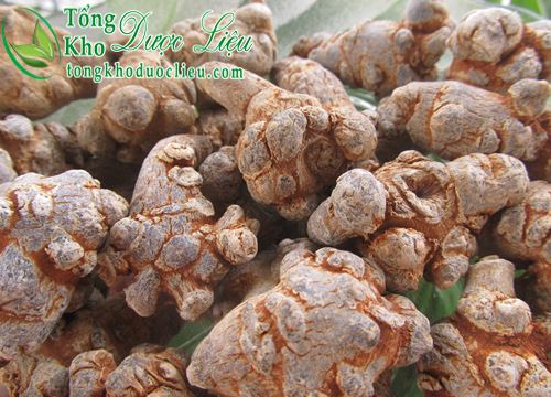tác dụng củ tam thất bột nghệ vàng mua ở đâu