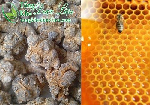 phương pháp dùng tam thất mật ong,cách dùng tam thất tốt nhất,cách dùng tam thất với mật ong
